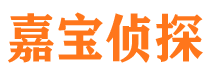 宜秀市调查公司